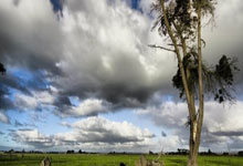黑白直播在线观看nba-利物浦的连败阴影：从荣耀到失落的挣扎
