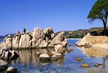 黑白直播-梅菲斯托布魔咒降临！马竞爆冷折戟塞尔塔，魔鬼主场今夜为谁哭泣？