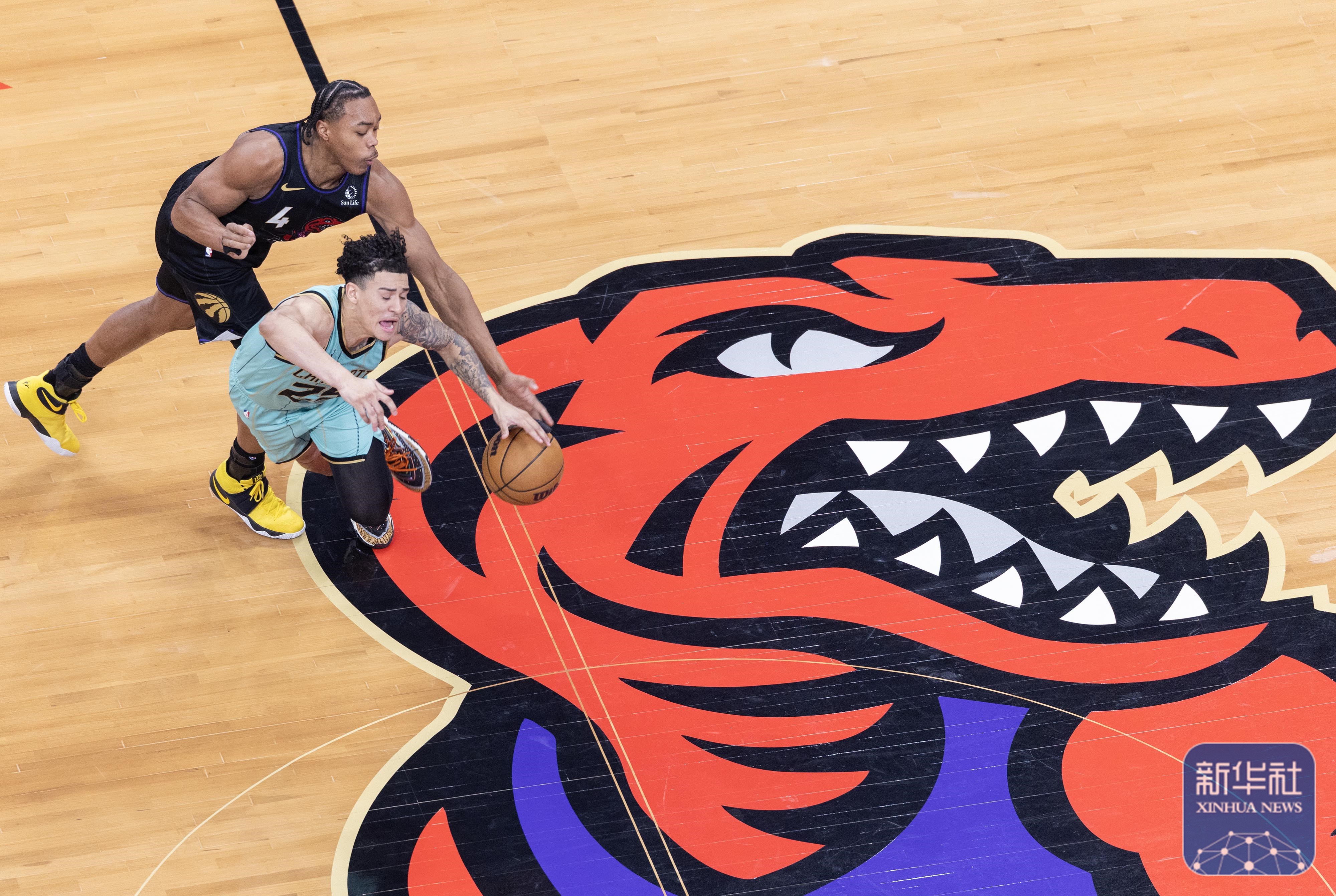 包含猛龙遭逢全败，客场不敌篮网的词条