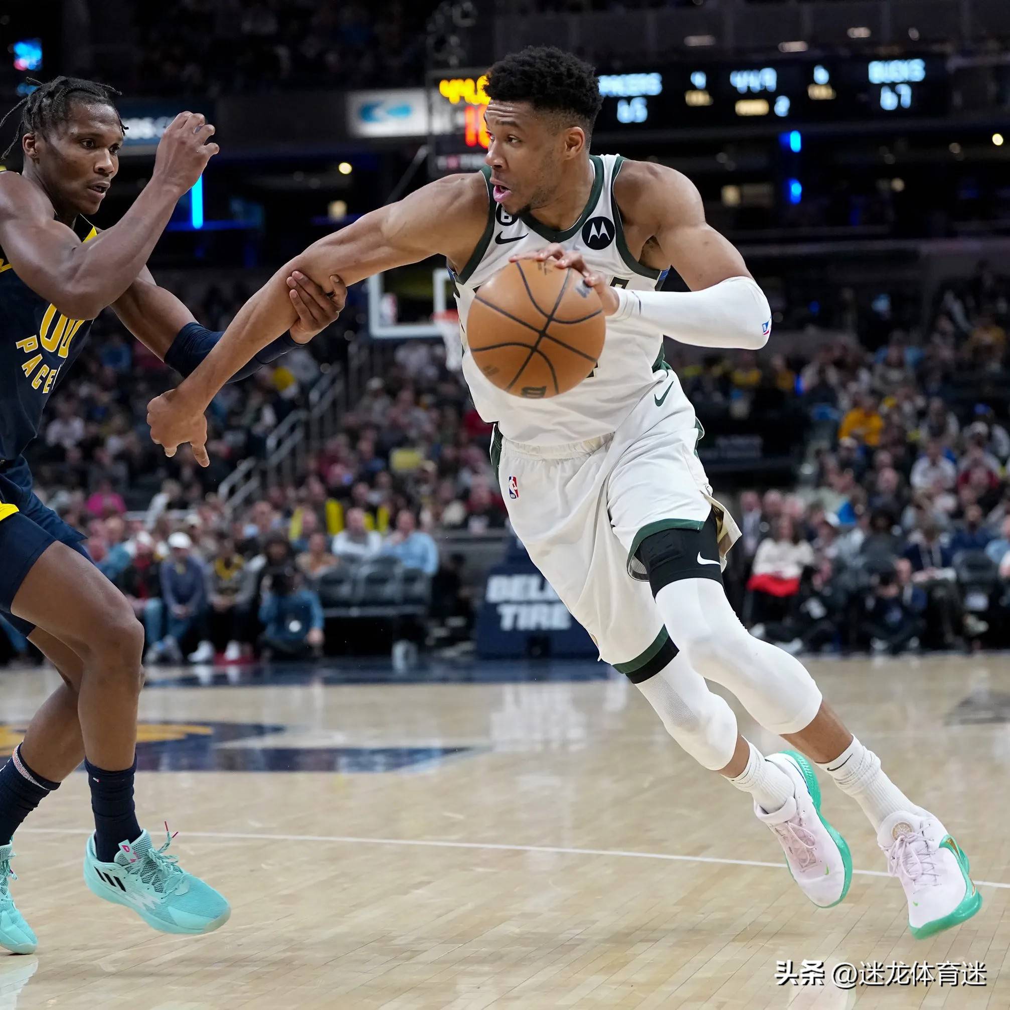 雄鹿主场击败尼克斯，字母哥发挥稳定