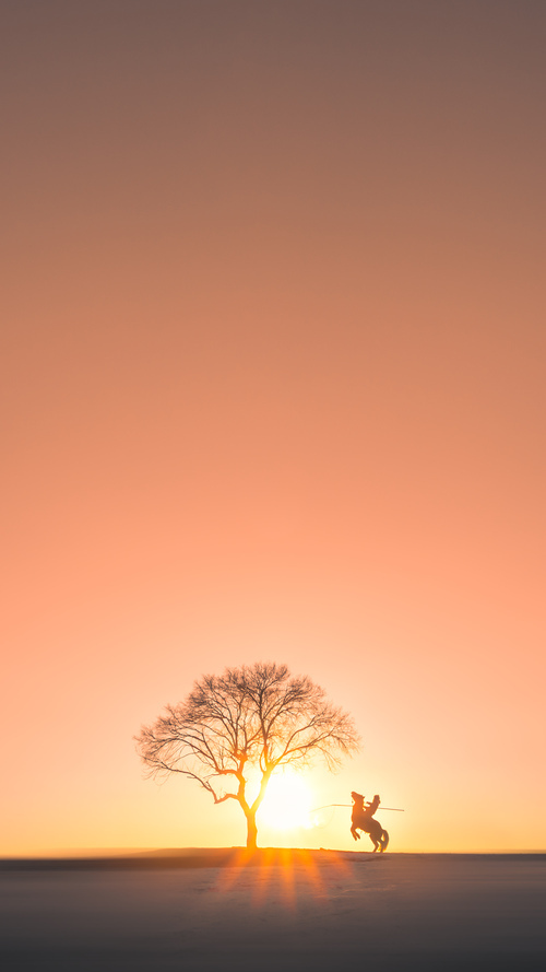 黑白直播体育-若日尼奥领军奏凯，瑞士进攻狂潮席卷埃及