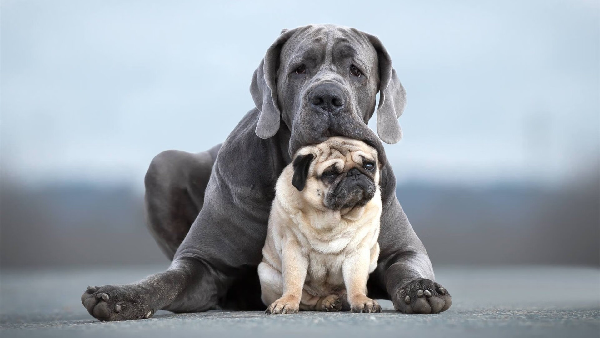 黑白直播免费体育直播-险胜背后的无解题，当皇马遇上挪威的法比尼奥
