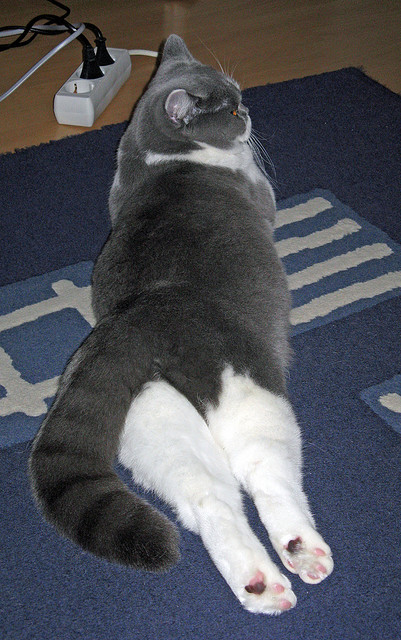 一瞬与恒常，当快船绝杀勇士遇上德罗赞的节奏掌控