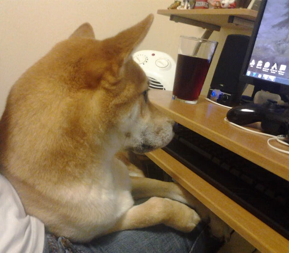 绝杀之舞，班凯罗闪耀跨洋舞台，公牛险胜上海诠释巨星本色