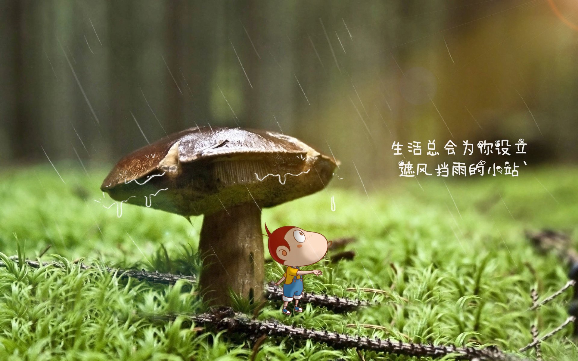 黑白直播在线观看nba-布伦森独奏与爵士铁幕，一场个人主义与集体防御的史诗对话
