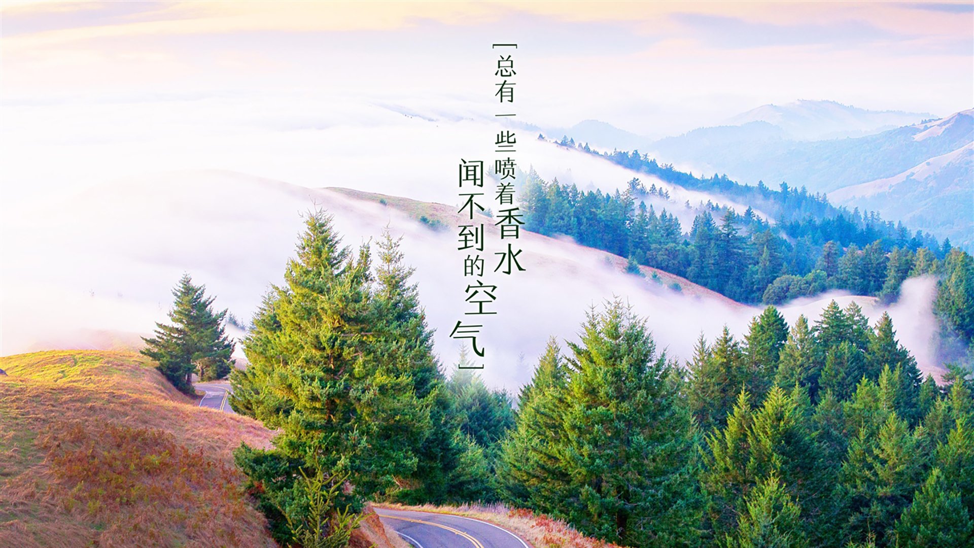 黑白直播在线观看nba-沉默的独白，抢七之夜里那个不闪光的决胜者