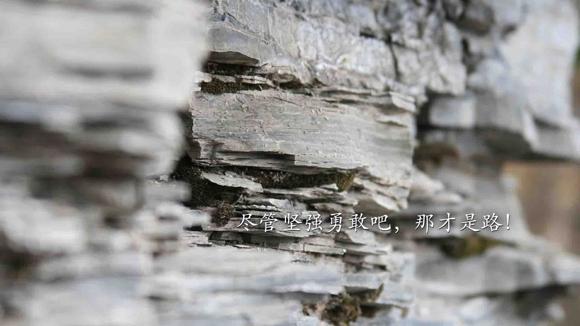 黑白直播在线观看-2026世界杯A组惊天冷门，卡塔尔压制巴西，加维领军逆转取胜